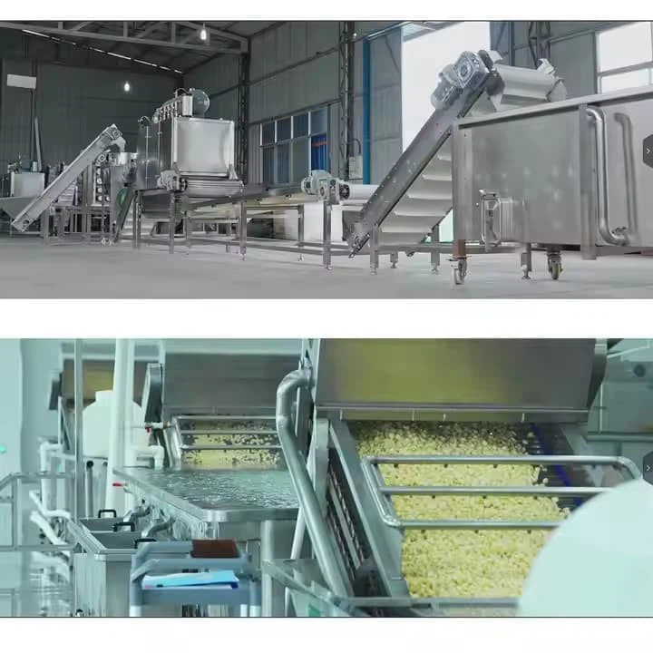Direct Factory Supply China Manufacturer's Industrial Whole Garlic Peeling Making Machine Automatic Production Line Electric Garlic Peeler